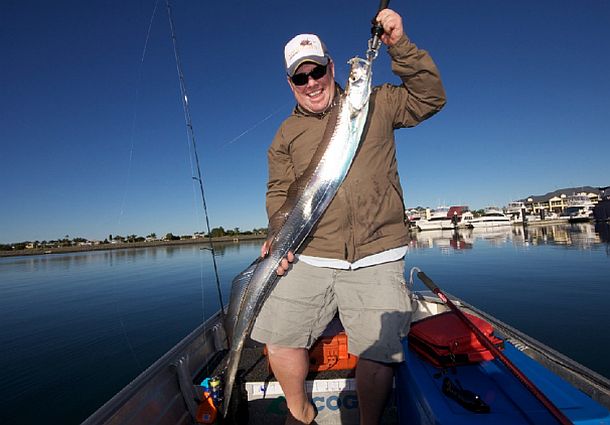 Hairy times in SE Queensland